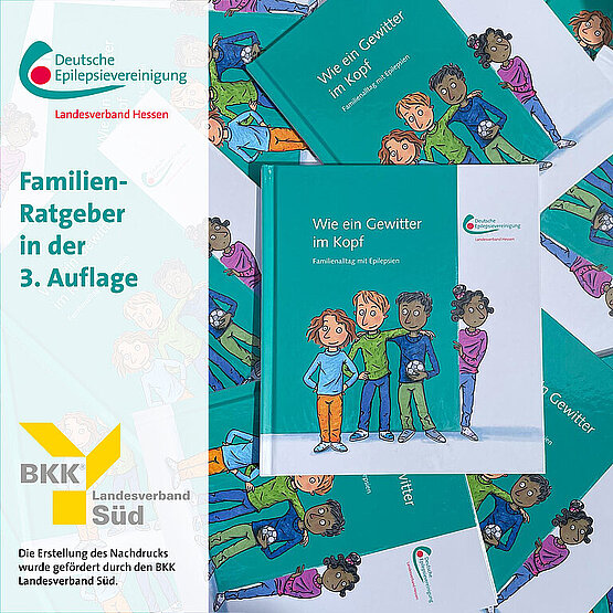 Comic-Zeichnung: vier Kinder stehen an einer Wand, ein Junge hält einen Fußball in der Hand; Cover des Familien-Ratgebers  „Wie ein Gewitter im Kopf" 3. Auflage